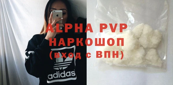 стафф Алзамай