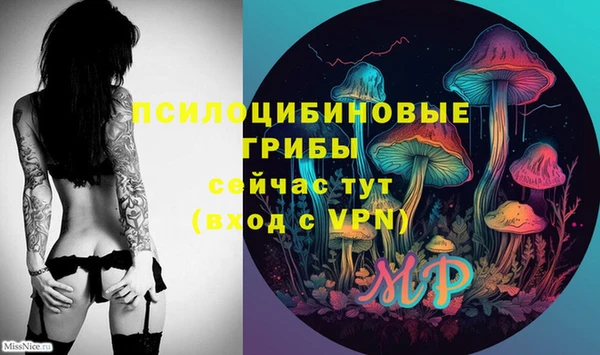 бошки Алексеевка