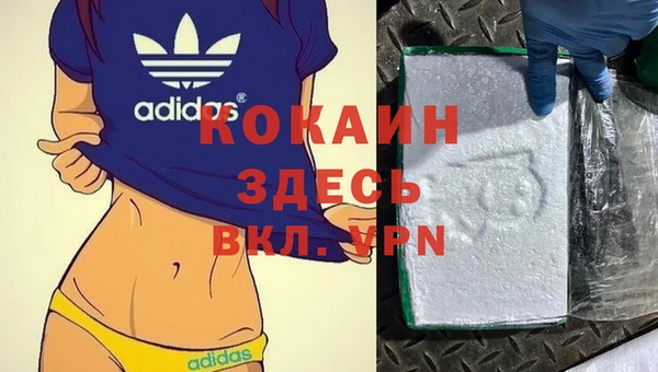 стафф Алзамай