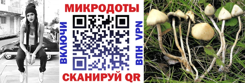 OMG как зайти  Козловка  мориарти состав  Галлюциногенные грибы прущие грибы 